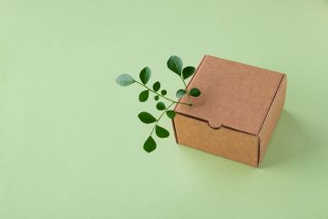 box with green plant sprouting out
